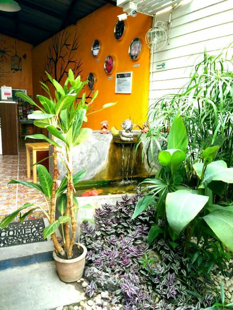 Yin Yang Guesthouse Chiang Mai Luaran gambar
